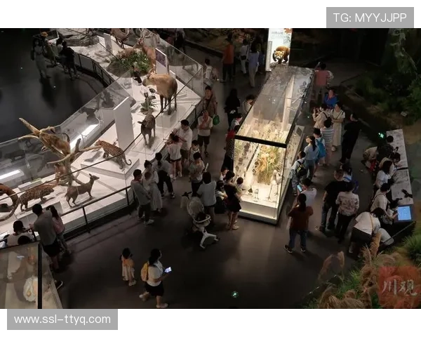 斯图加特梅赛德斯竞技场保留二战防空洞遗址，改建俱乐部博物馆展区